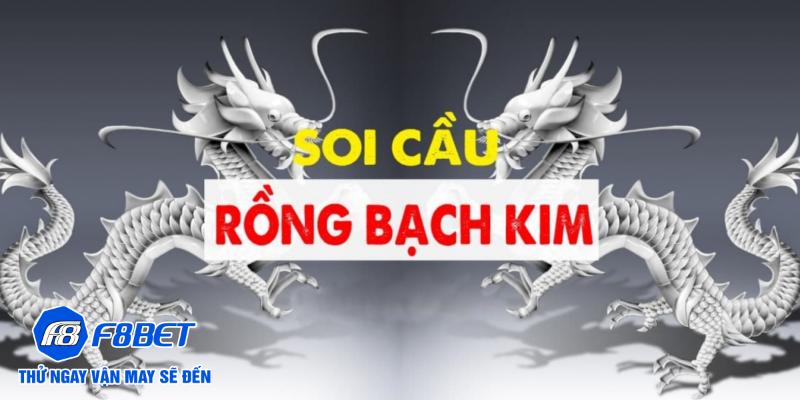 Giải mã rồng bạch kim chi tiết