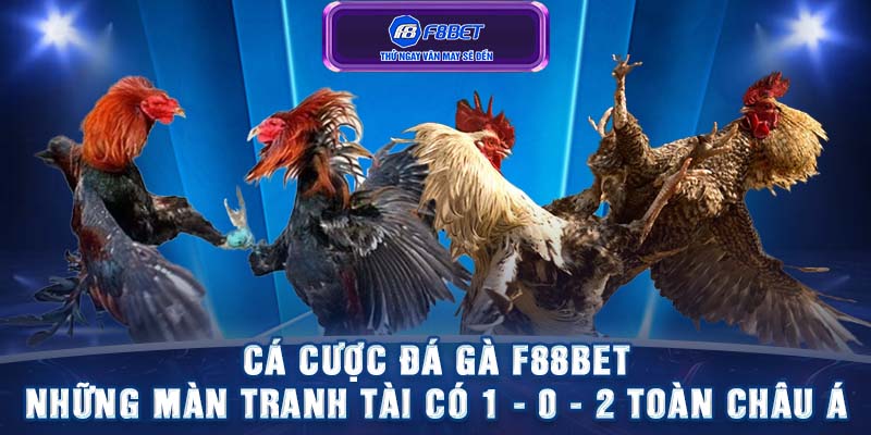 Cá cược đá gà F88BET - Những màn tranh tài có 1 - 0 - 2 toàn châu Á