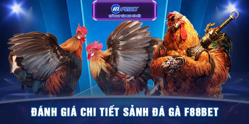 Đánh giá chi tiết sảnh đá gà F88BET