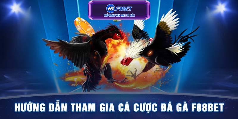 Hướng dẫn tham gia cá cược đá gà F88BET